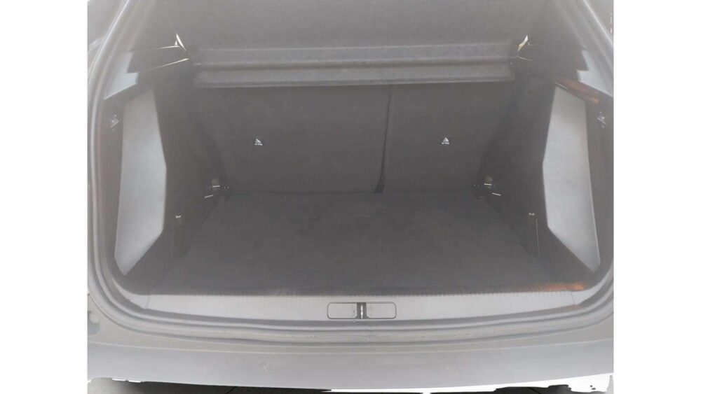 Peugeot 2008 1.5 BlueHDi s&s Active Pack 110 CV