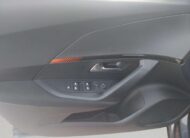 Peugeot 2008 1.5 BlueHDi s&s Active Pack 110 CV