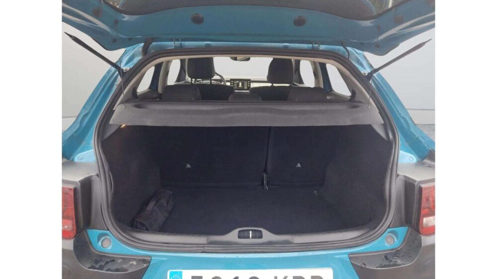 Citroen C4 Cactus 1.6 Blue HDi  SHINE